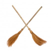 Метла Ведьмы